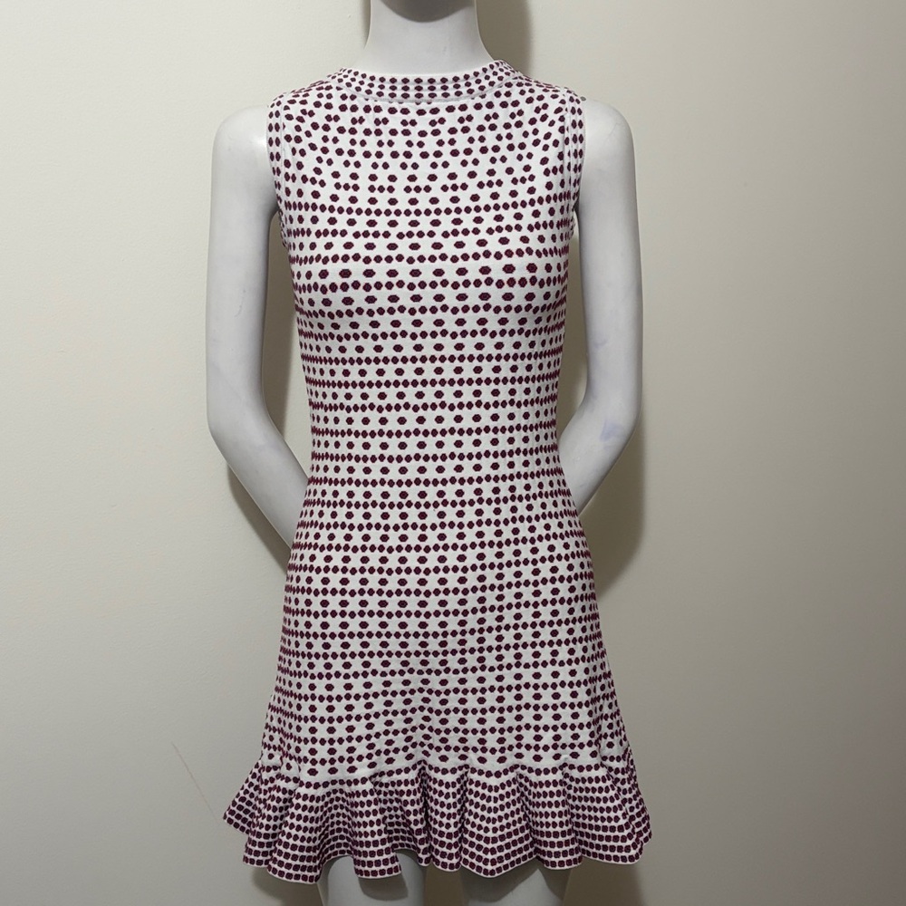 NWT Deesse Mini Dress